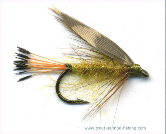 Trout Fly