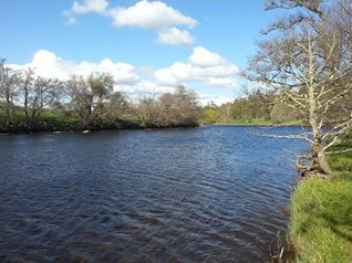 The Bushes, Grantown