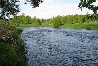 Little Stream, River Spey