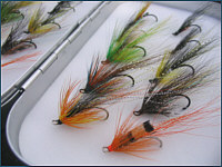 Flies online - salmon flies