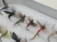 Flies online - trout dry flies