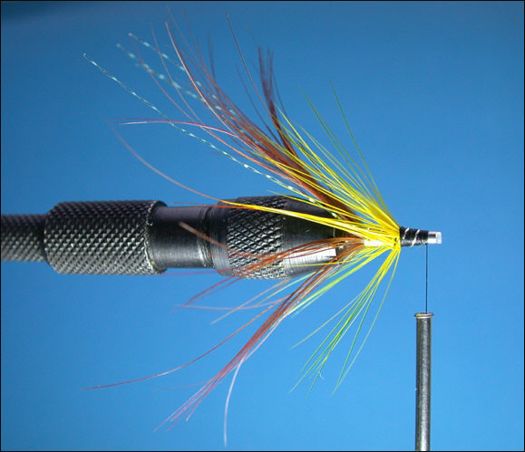 Step 4 - Irish Shrimp Tube Fly