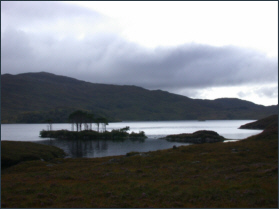 Trout Fishing Assynt