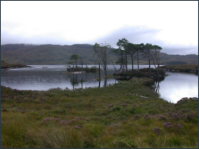 Trout fishing Loch Assynt