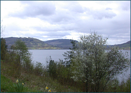 Trout Fishing Loch Ness 