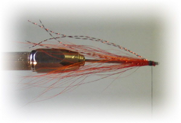 Tying a sea trout snake fly on a Needle Tube