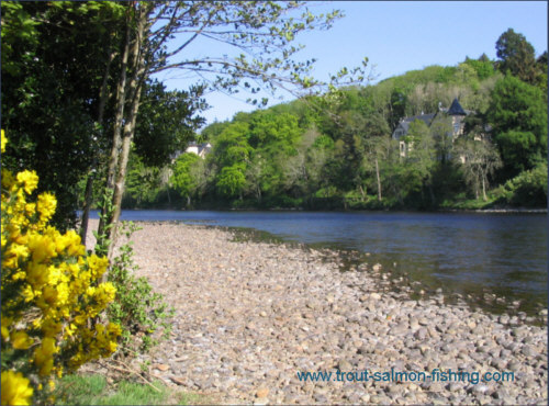 The MacIntyre pool in May