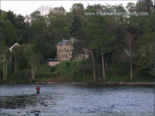 Fishing the MacIntyre pool, River Ness