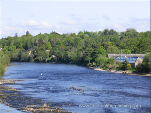 Fishing the Mill Stream, Inverness Angling Club