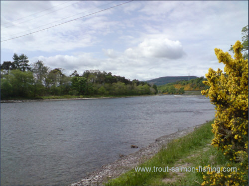 The Mill Stream, River Ness