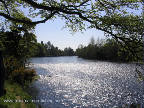 Looking upstream from the Province towards the MacIntyre