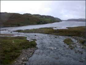 Trout fishing Rhiconich