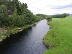 Salmon Fishing River Carron