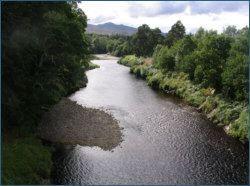 River Carron Salmon Fishing