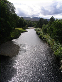 Salmon Fishing River Carron