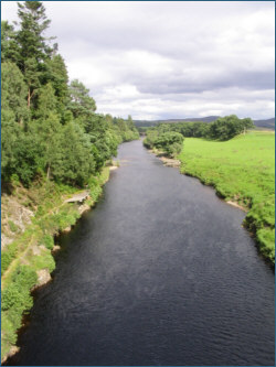 Salmon Fishing River Carron