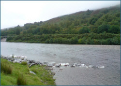 River Lochy