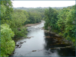 The River Spean