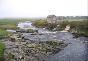 River Thurso Salmon Fishing