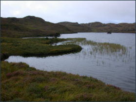 Sutherland trout Loch
