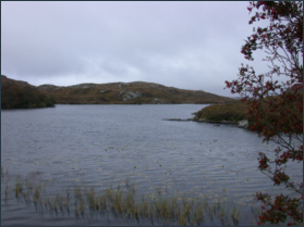 Trout fishing, Scourie