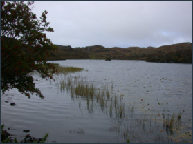 Trout fishing loch, Scourie