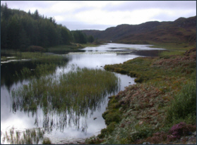 Trout Loch, Scourie