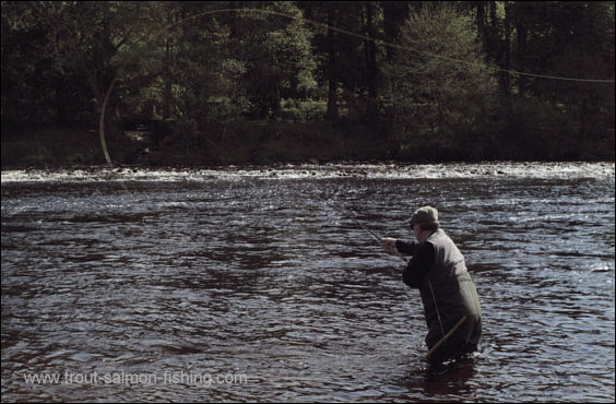 Spey Casting