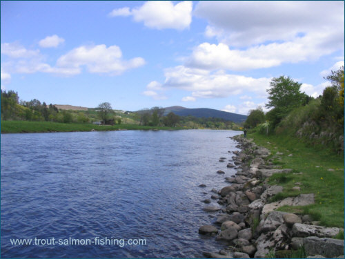 The Creepie Poll, River Spey