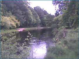 River Alness Salmon  Fishing