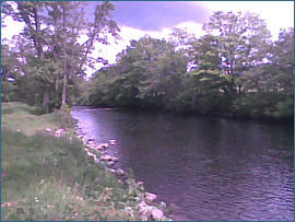 River Alness Salmon  Fishing