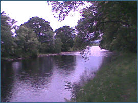 River Alness Salmon  Fishing