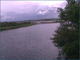 River Alness Salmon  Fishing