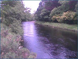 River Alness Salmon  Fishing