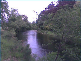 River Alness Salmon  Fishing