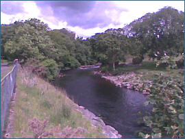 River Alness Salmon  Fishing