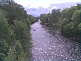 River Alness Salmon  Fishing