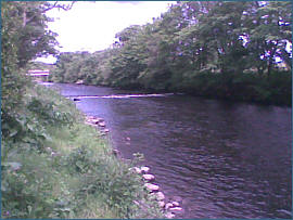 River Alness Salmon  Fishing