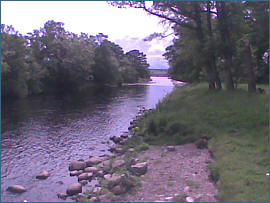 River Alness Salmon  Fishing