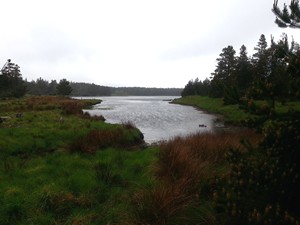 Loch a Mhoid