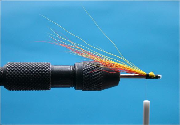 The Beltra Badger Tube Fly - step 3