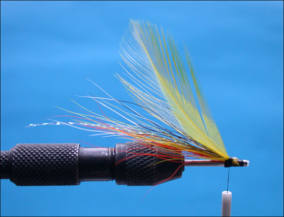 The Beltra Badger Tube Fly - step 6