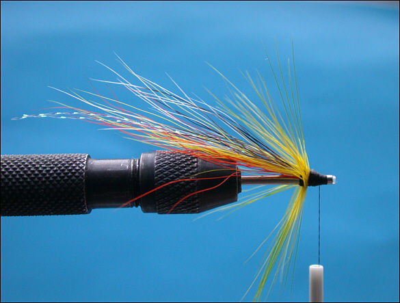 The Beltra Badger Tube Fly - step 7