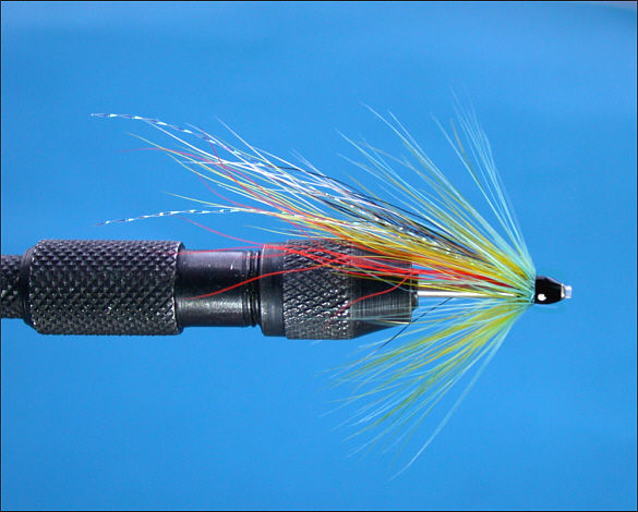 The Beltra Badger Tube Fly - step 8