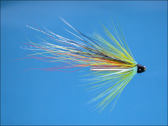 The Beltra Badger Tube Fly