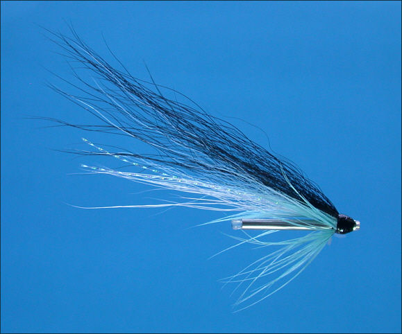 Blackback Tube Fly - Blue