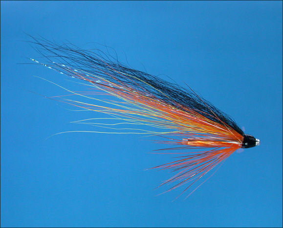 Blackback Tube Fly - Orange