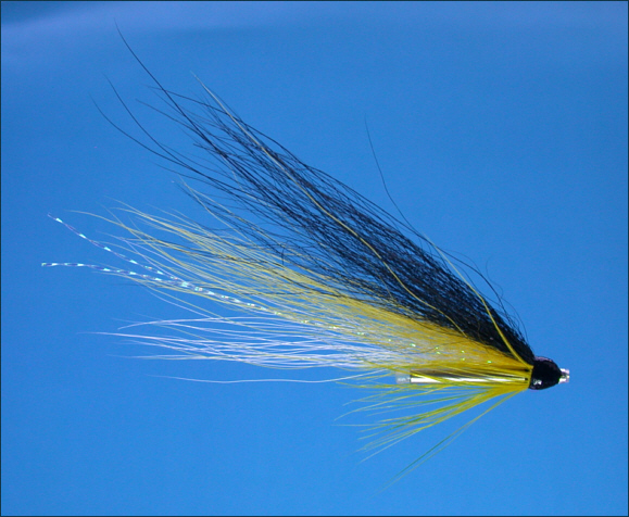 Yellow Blackback Tube Fly