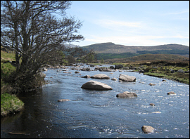 The Upper Blackwater