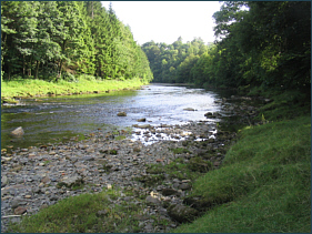 Border Esk Fishing